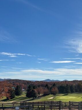 Meet your Posher, Annette.